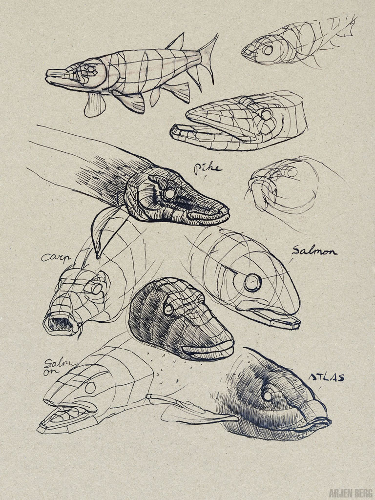 Fish construction studies drawing in ink