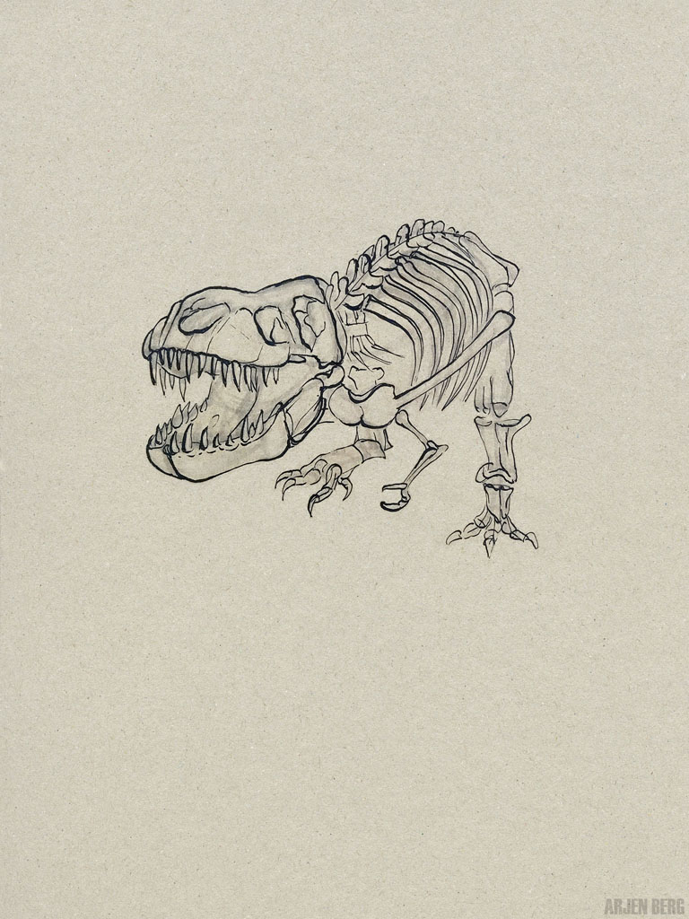 T-rex skelleton drawing