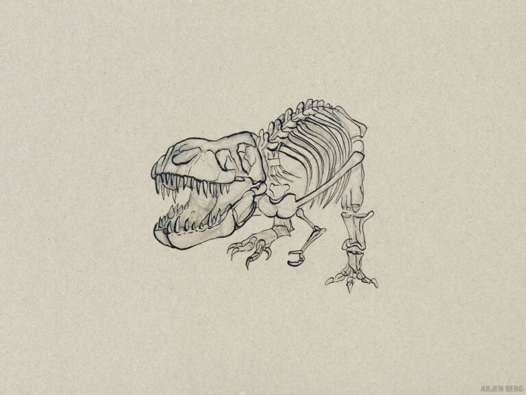 Tyrannosaurus rex skeleton study in ink on toned paper