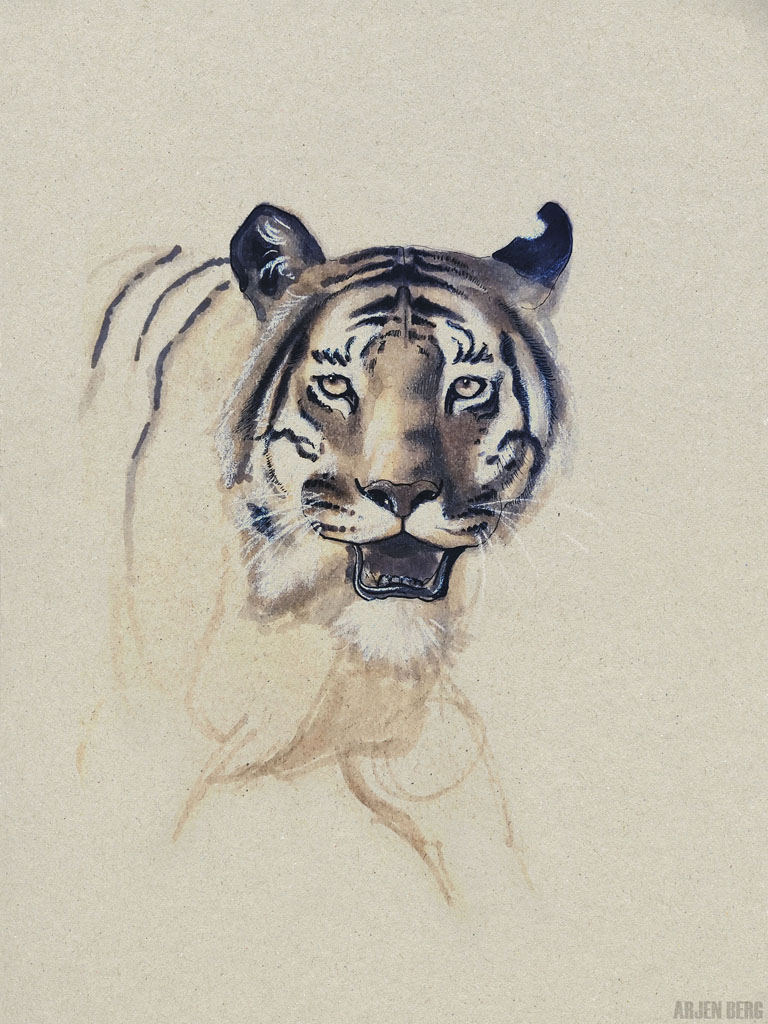 Tiger drawing with ink and markers