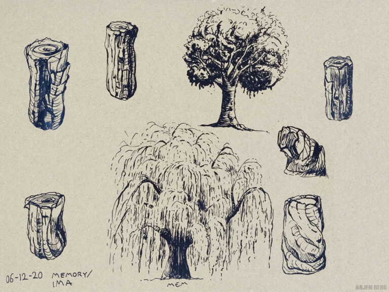 Weeping Willow tree study in ink on toned paper